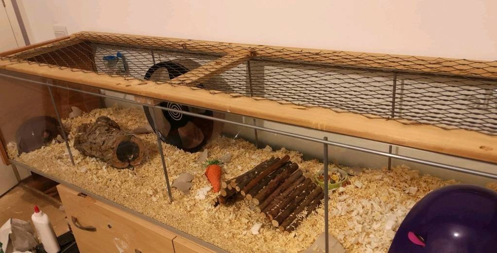 detolf hamster cage lid